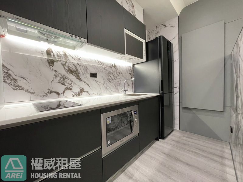 大樂河堤世界全新輕奢兩房可租補