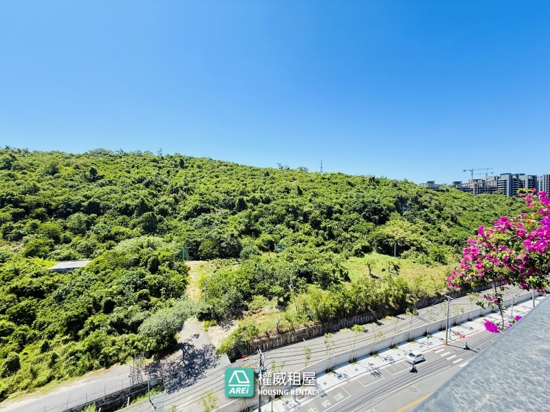 鼎宇鼎峰 開窗滿綠意｜可讓寵物奔跑的房子｜彈性四房好利用