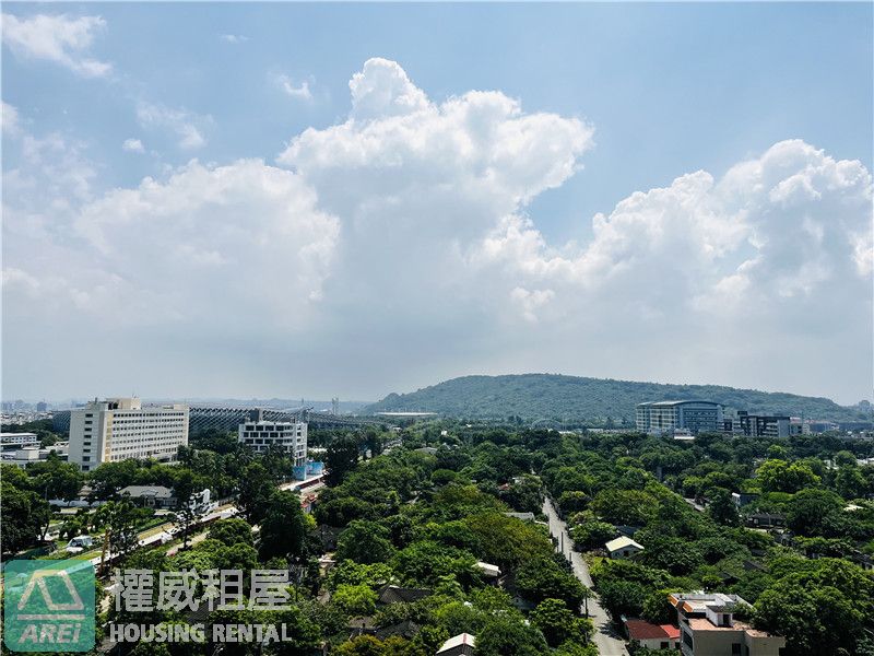 💫台積電 光洲耘海｜溫馨大一房平車｜可租補